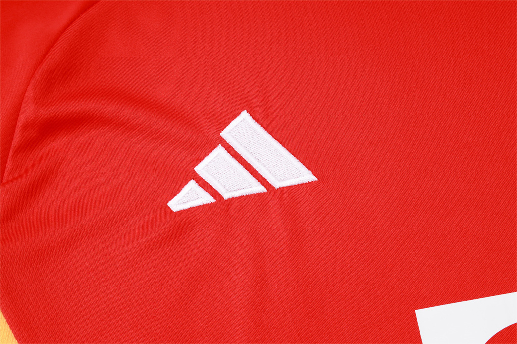 Bayern Munich Training Short sleeve Jersey 24/25