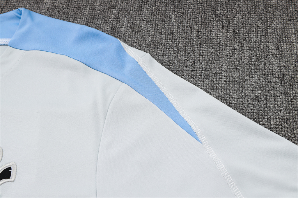 Tottenham Hotspur Training Short sleeve Jersey 24/25