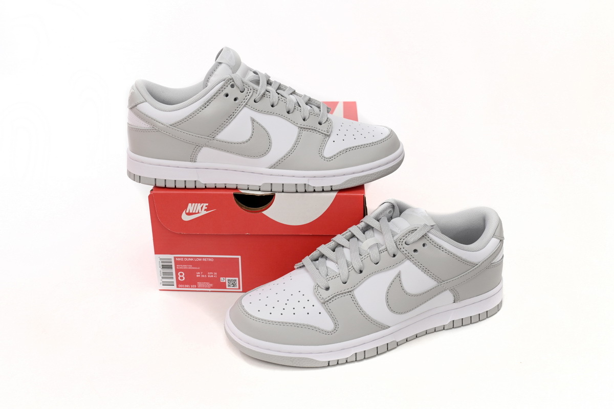 Nike Dunk Low Hoary DD1391-103