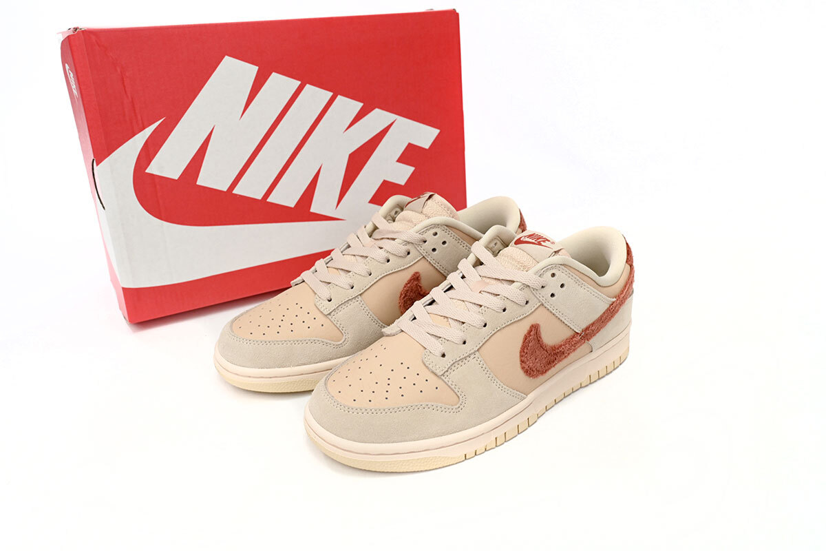 Nike Dunk Low WMNS Terry Swoosh DZ4706-200