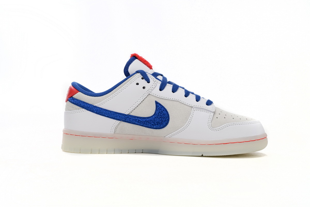 Nike Dunk Low Retro PRM FD4203-161