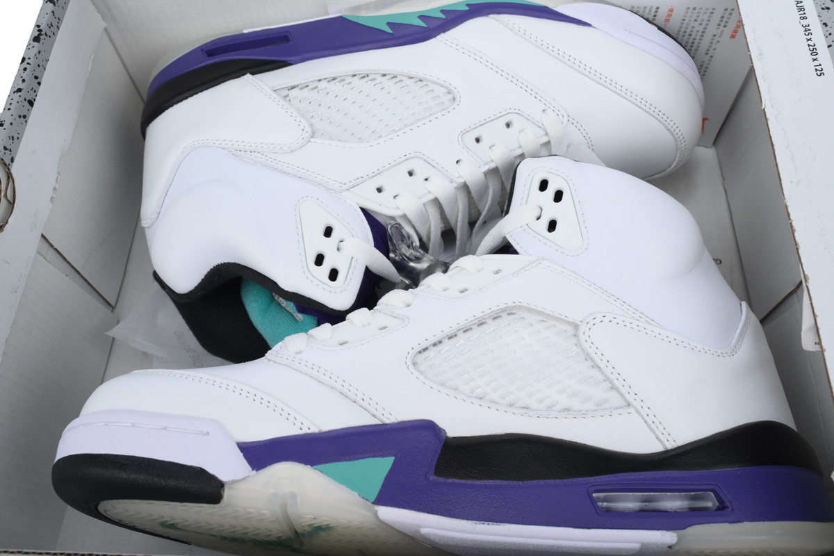 Air Jordan 5 Retro Grape 136027-108