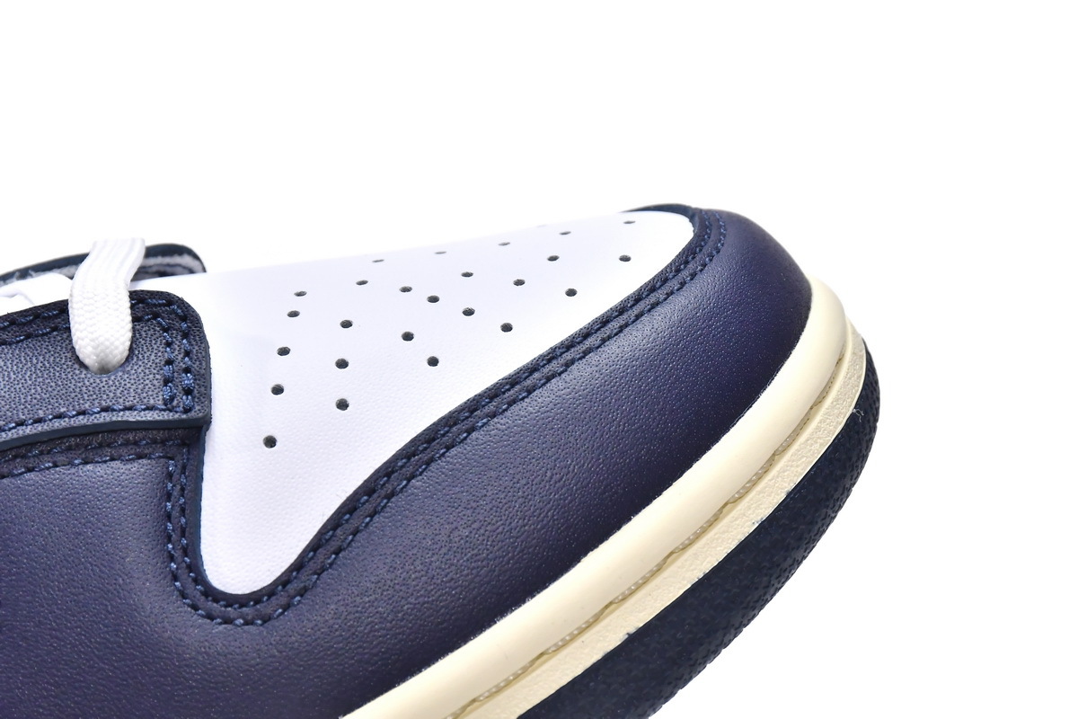 Nike Dunk SB Navy Blue And White DD1503-115