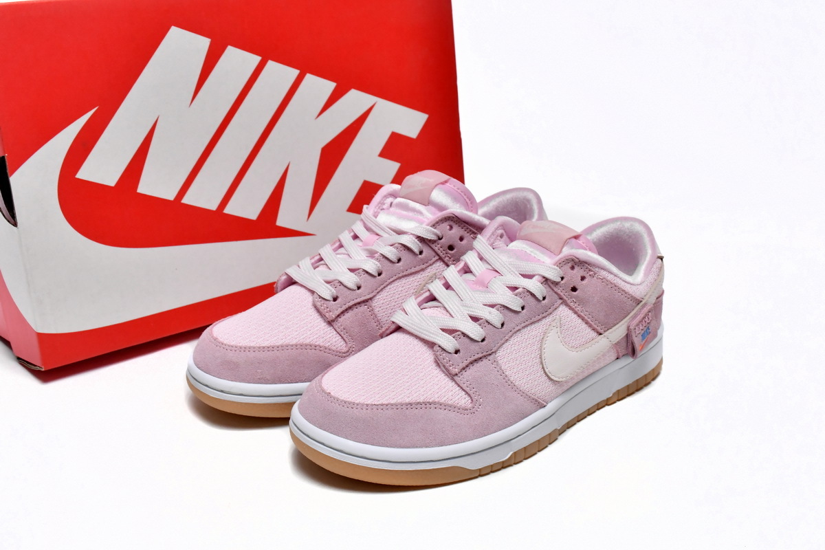 Nike Dunk Low Teddy Powder DZ5318-640