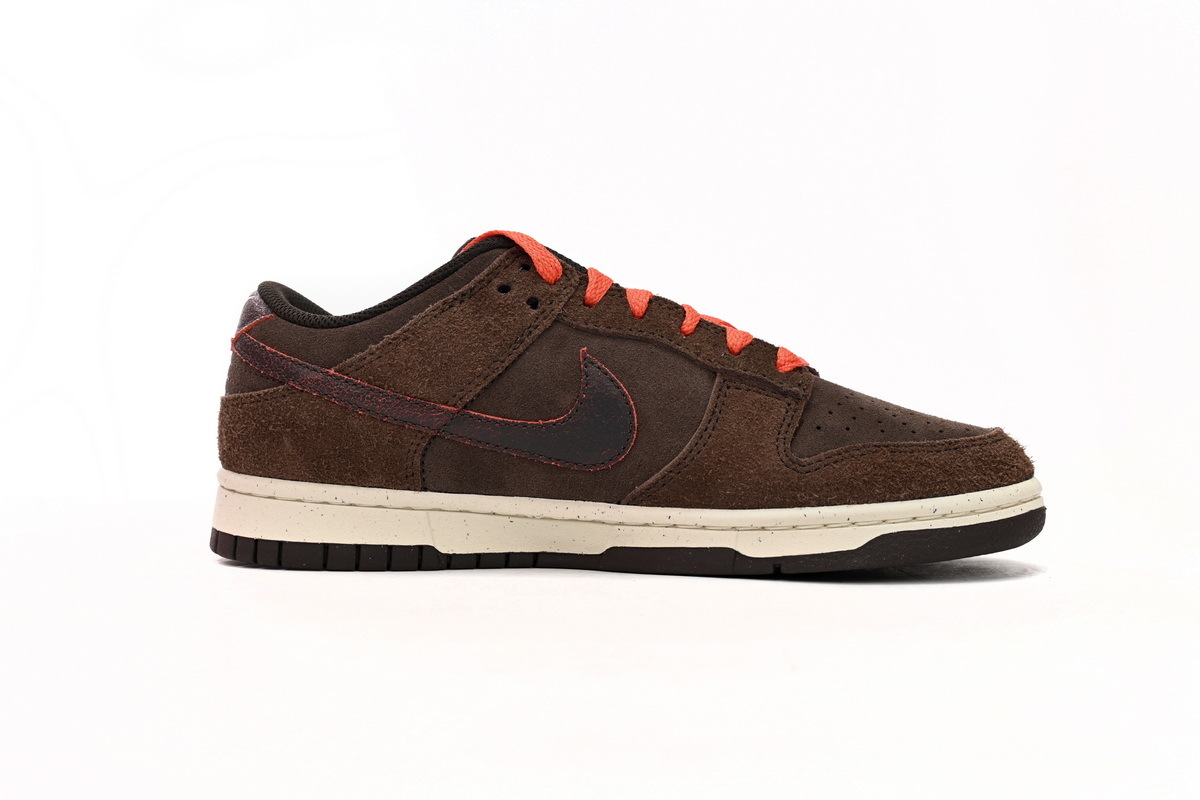 Nike Dunk Low Baroque Brown DQ8801-200