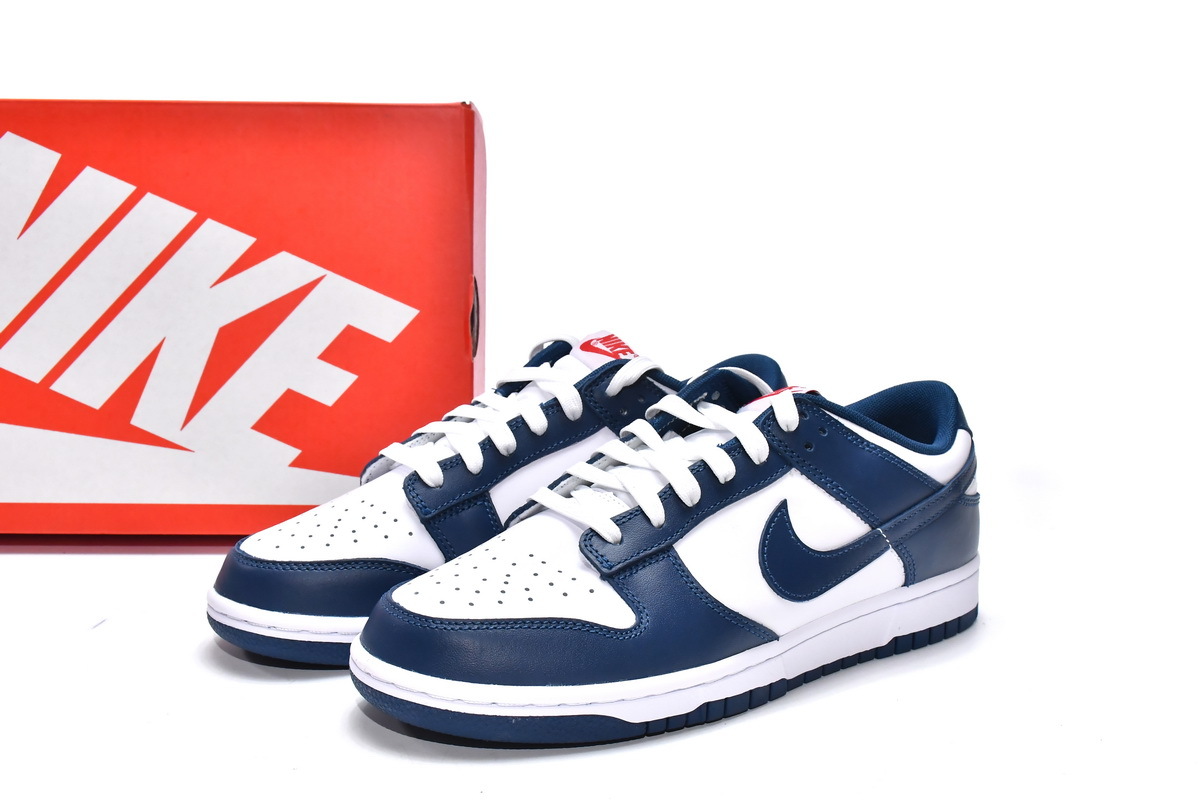 Nike Dunk Low Valerian Blue DD1391-400