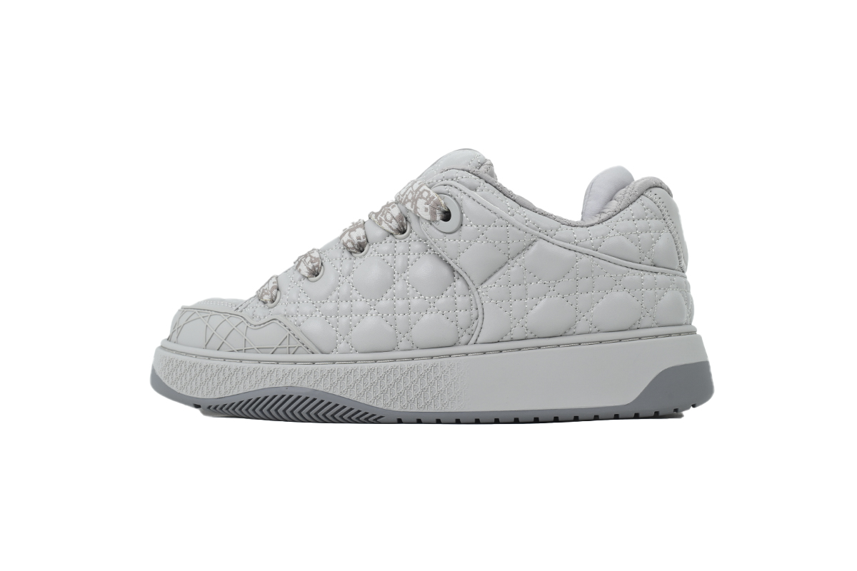 Dior B9S Skater Sneaker Gray