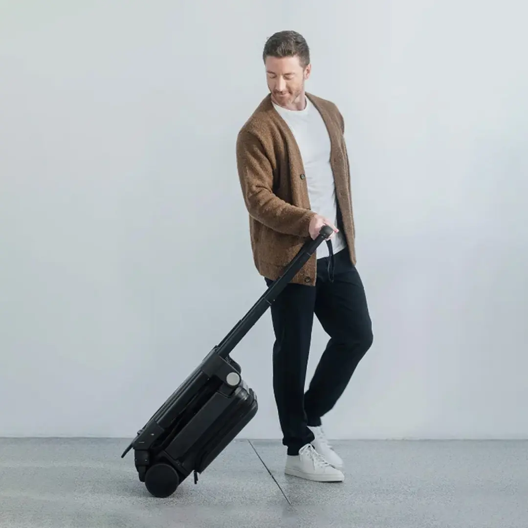 Carry On Luggage Stroller