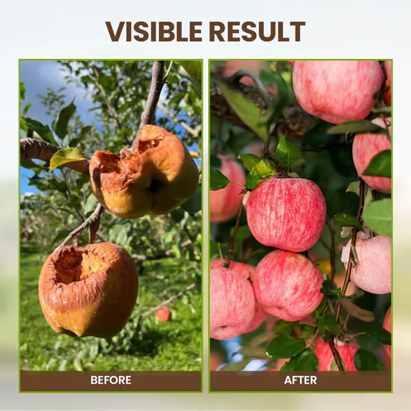 🔥Limited Sale - BUY 1 GET 1 FREE🔥Soil Improvement Loosening Agent