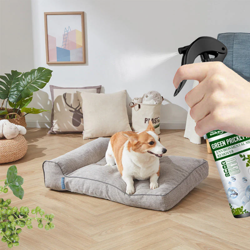 ✨Buy More Get More Free✨Power Insect Spray