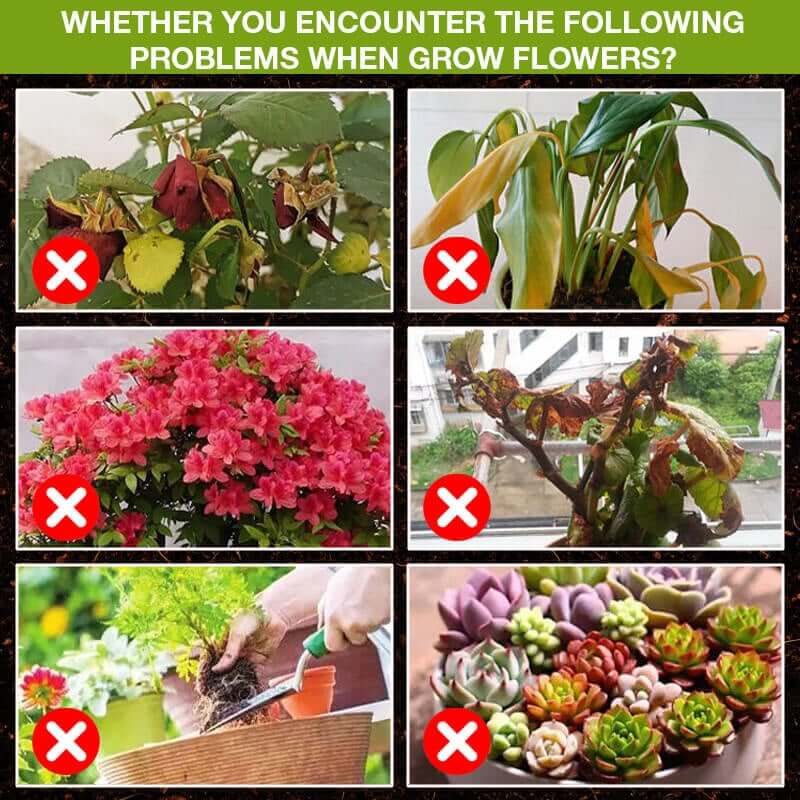 HOT SALE 🔥50%OFF 🔥Plant Growth Enhancer Supplement（BUY 3 GET 2 FREE）