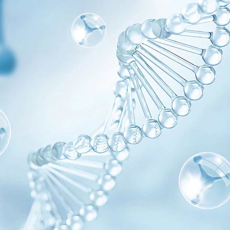 🔥2025 Hot Sale🔥 UV Toilet Sterilization Lamp Set