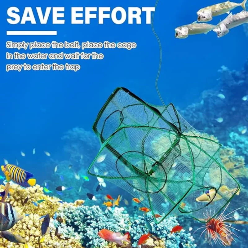 🔥Auto-Foldable Strengthened Fishing Trap Net