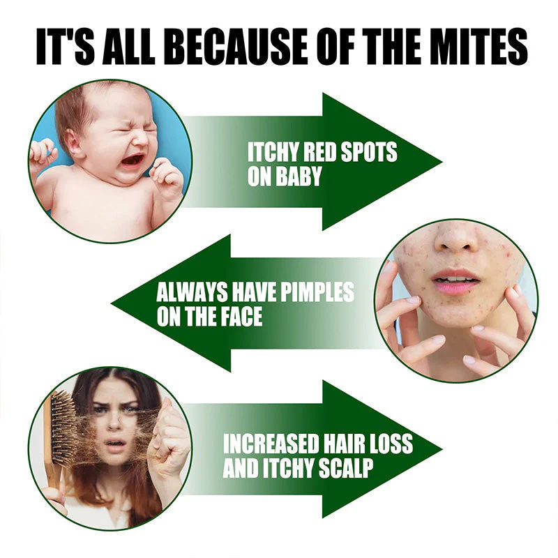 ✨Buy More Get More Free✨Power Insect Spray