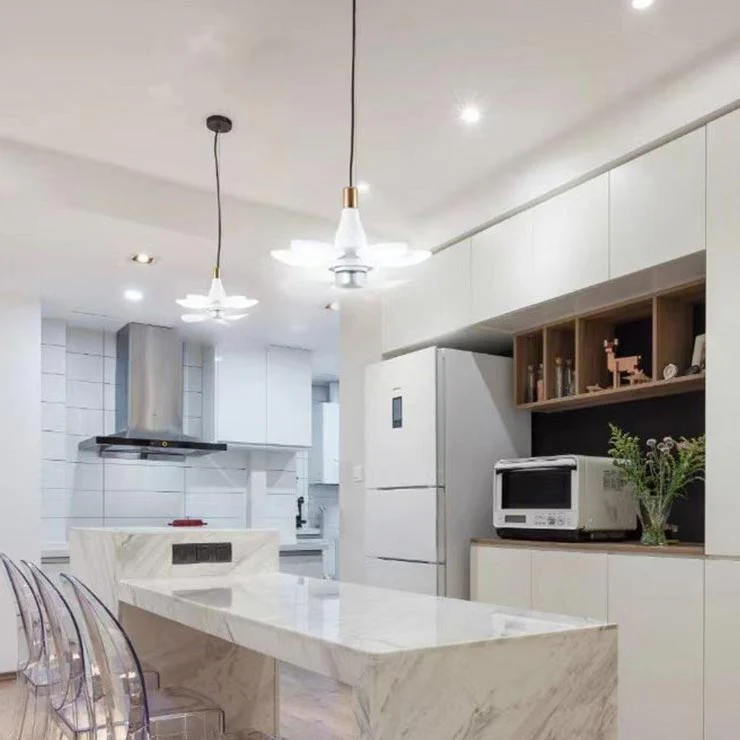 Household Ceiling Fan with Light and Remote Control &Free shipping✈️