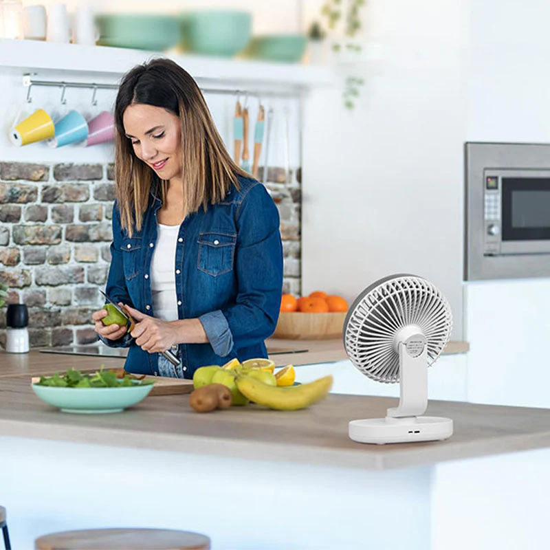 Tabletop Cordless Oscillating Mini Fan