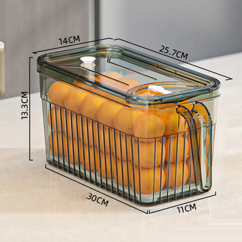 Refrigerator Storage Food Container