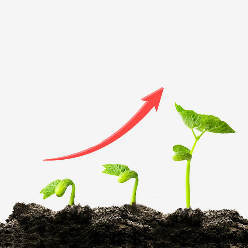 Anti-Caking, Acid & Alkaline Soil Activator（50% OFF）