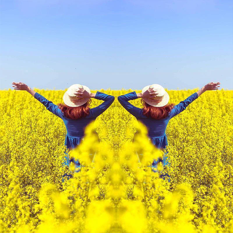 ✨ Mirror Magic Lens: Capture Jaw-Dropping Reflections Instantly! 📸✨