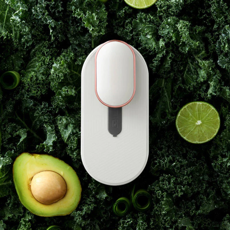 Sterilizing & Freshness Deodorizer for Refrigerator