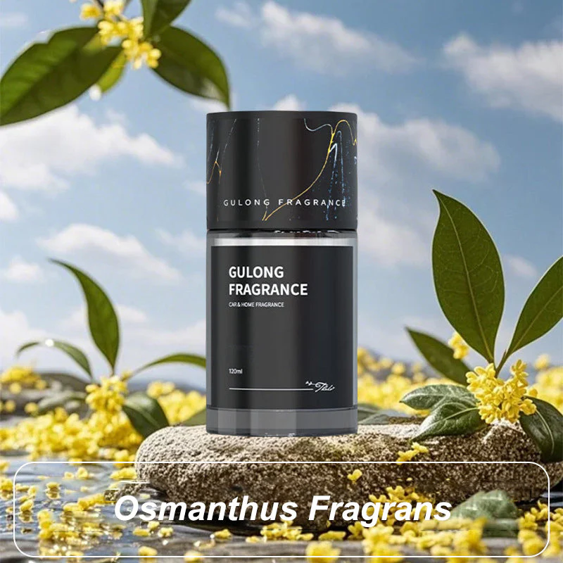 🎁Last Day Promotion 50% OFF🚗Long-Lasting Car Fragrance