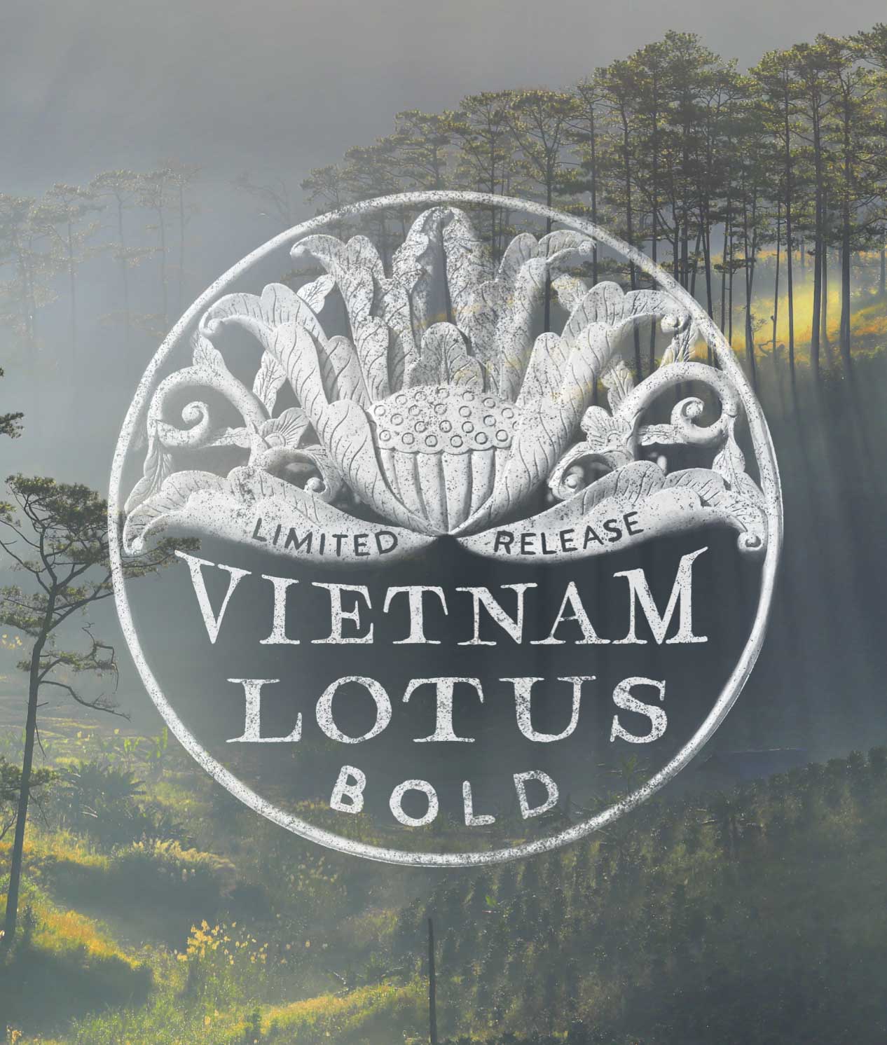 Vietnam Lotus Bold