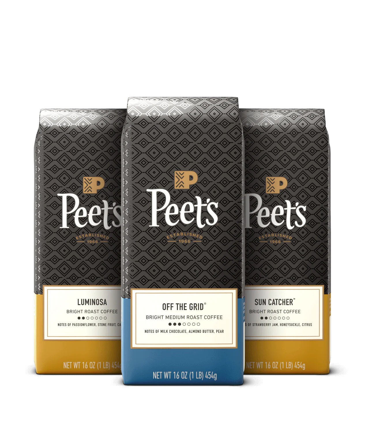 Light & Bright Bundle